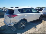 Toyota Rav4 Xle JTMWFREV5HJ712348 снимка