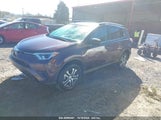 TOYOTA RAV4 LE 2T3BFREV5JW****** fotografie