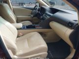 LEXUS RX 350 photo