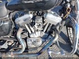 HARLEY-DAVIDSON XL1200 C 1HD1CGP315K****** снимка