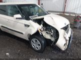 KIA SOUL photo