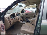 FORD ESCAPE XLT 1FMYU03155K****** снимка