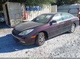 LEXUS ES 300 photo