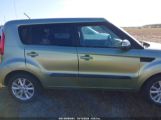 KIA SOUL + photo