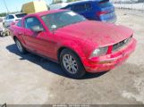 FORD MUSTANG V6 DELUXE/V6 PREMIUM photo