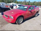 FORD MUSTANG V6 DELUXE/V6 PREMIUM photo