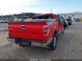 FORD F-150 XLT 1FTFW1ET0EF****** снимка