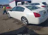 NISSAN MAXIMA 3.5 SE 1N4BA41E86C****** снимка