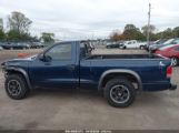 DODGE DAKOTA photo