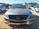 MERCEDES-BENZ M-CLASS ML 350 photo