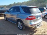 MERCEDES-BENZ M-CLASS ML 350 photo