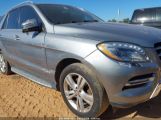 MERCEDES-BENZ M-CLASS ML 350 photo