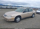 CHEVROLET MALIBU 1G1ND52J22M****** fotografie