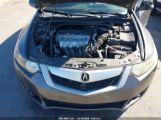 ACURA TSX 2.4 photo