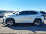 LEXUS NX 300 photo