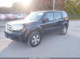 HONDA PILOT EX-L photo