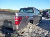 FORD F-150 STX 1FTFX1CFXDK****** снимка