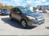 FORD ESCAPE SE photo