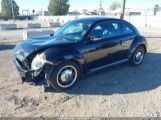 VOLKSWAGEN BEETLE 2.5L 3VWJP7AT4CM****** photo