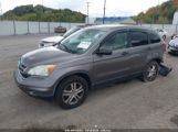 HONDA CR-V EX снимка