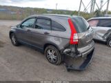 HONDA CR-V EX снимка