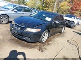 ACURA TSX JH4CL96834C042378 снимка