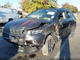JEEP COMPASS TRAILHAWK 4X4 3C4NJDDB3NT206168 снимка