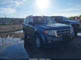 FORD ESCAPE XLT снимка