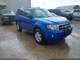 FORD ESCAPE XLT снимка