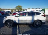 HONDA CR-V AWD EX photo