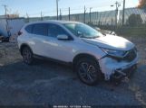 HONDA CR-V AWD EX photo