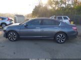 HONDA ACCORD EX-L V-6 photo