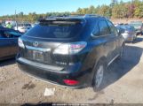 LEXUS RX 350 photo