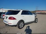 MERCEDES-BENZ ML 350 4MATIC photo