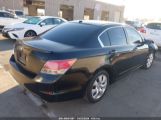 HONDA ACCORD 2.4 EX-L photo