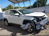 TOYOTA RAV4 XLE 2T3P1RFV6KW****** снимка