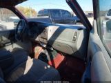 FORD RANGER SPLASH/STX/XLT photo