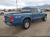 DODGE DAKOTA SPORT/SXT 1D7HG38N84S****** снимка