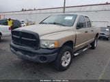 DODGE RAM 1500 ST 1D7HU18N65J****** fotografie