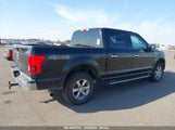 FORD F-150 XLT 1FTEW1EB4LK****** снимка