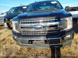 FORD F-150 XLT 1FTEW1EB4LK****** снимка