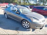 HONDA ACCORD 3.5 EX-L photo