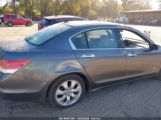 HONDA ACCORD 3.5 EX-L photo