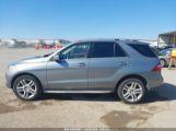 MERCEDES-BENZ ML 350 photo