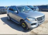 MERCEDES-BENZ ML 350 photo