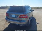 MERCEDES-BENZ ML 350 photo