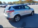 FORD ESCAPE SE снимка