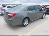 TOYOTA CAMRY LE photo