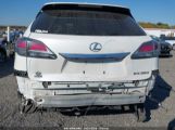 LEXUS RX 350 photo