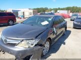 TOYOTA CAMRY HYBRID XLE photo